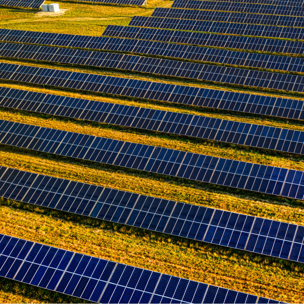 Fuses photovoltaicae: Extra traditionem, ducens futuram innovationem tutelae hodiernae